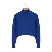 Point Crop Turtleneck Pullover