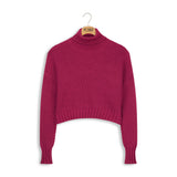 Point Crop Turtleneck Pullover