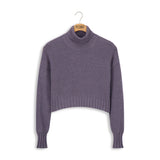 Point Crop Turtleneck Pullover