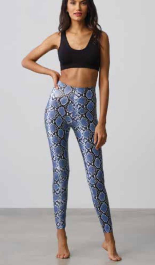 Commando Faux Leather Blue Snake Legging SLG50 – From Head To Hose